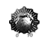 Felpa