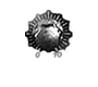 Contatti